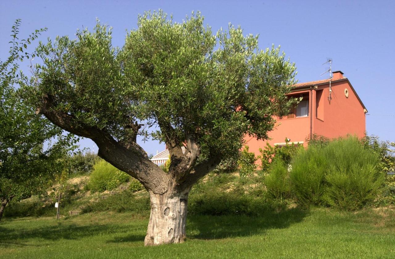 A3passi Farm stay Ancona