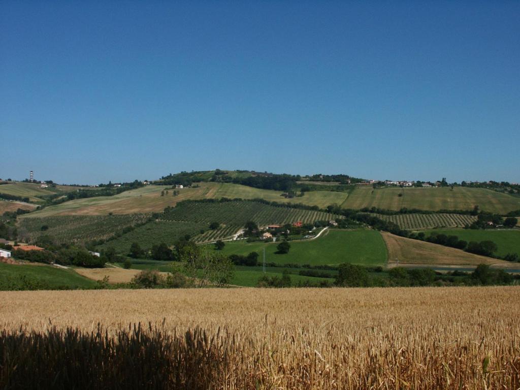 Farm stay A3passi Ancona
